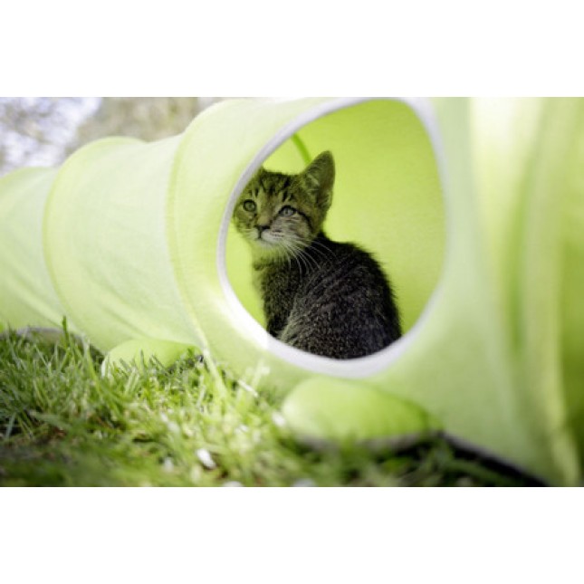 Kerbl Cat Tunnel Raupe διασκεδαστικό παιχνίδι που είναι σίγουρο ότι θα απολαύσει η γάτα σας