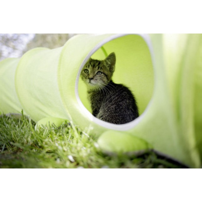 Kerbl Cat Tunnel Raupe διασκεδαστικό παιχνίδι που είναι σίγουρο ότι θα απολαύσει η γάτα σας Kerbl Cat Tunnel Raupe διασκεδαστικό παιχνίδι που είναι σίγουρο ότι θα απολαύσει η γάτα σας