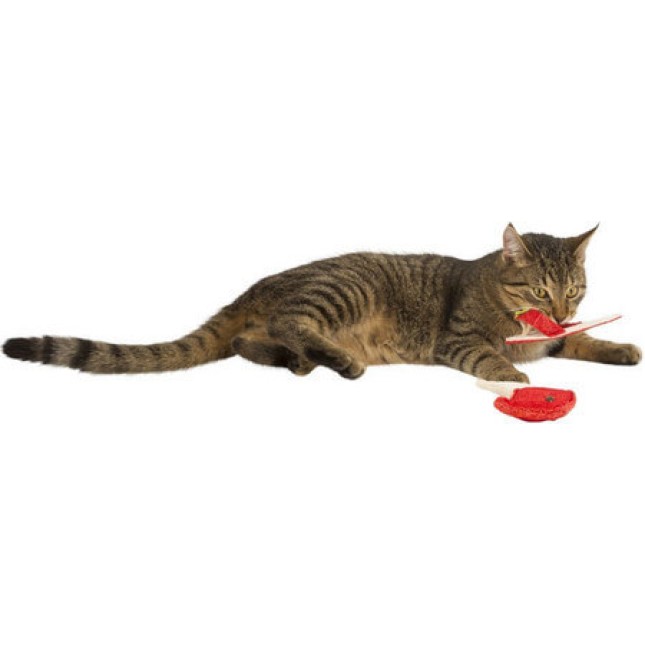 Kerbl Loofah παιχνίδι γάτας, σχεδιασμένο για να καθαρίζει τα δόντια και να αναζωογονεί την αναπνοή