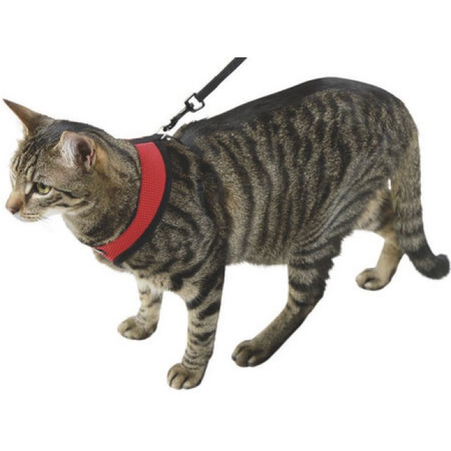 Kerbl Cat Harness Activ red, 120 cm