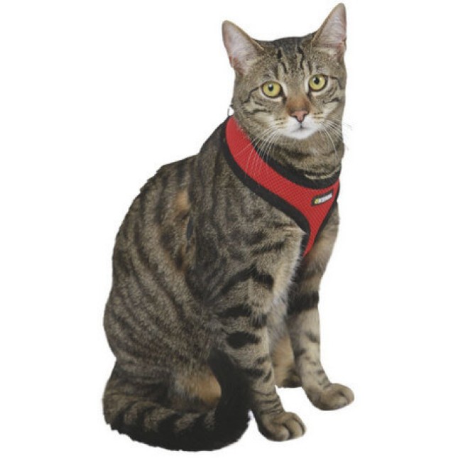 Kerbl Cat Harness Activ Σετ σαμαράκι και οδηγός κατασκευασμένα από ελαφρύ, μαλακό υλικό για γάτες Kerbl Cat Harness Activ Σετ σαμαράκι και οδηγός κατασκευασμένα από ελαφρύ, μαλακό υλικό για γάτες