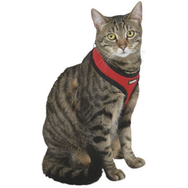 Kerbl Cat Harness Activ Σετ σαμαράκι και οδηγός κατασκευασμένα από ελαφρύ, μαλακό υλικό για γάτες