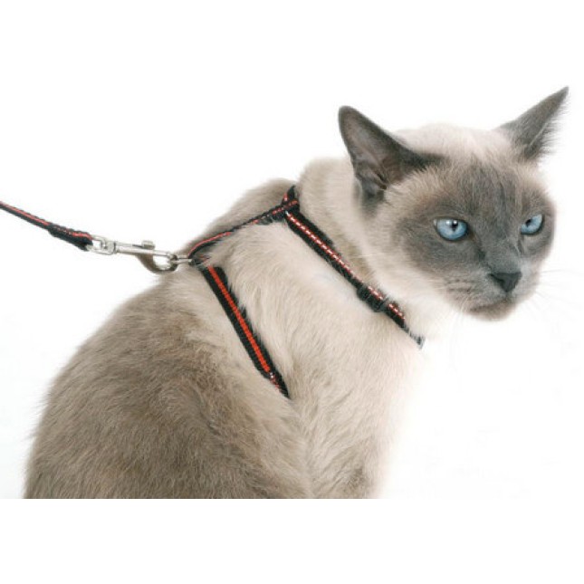 Kerbl cat harness set,περιλαίμιο με κουδουνάκι σαμάρι & οδηγός νάιλον κατασκευασμένο από νάιλον