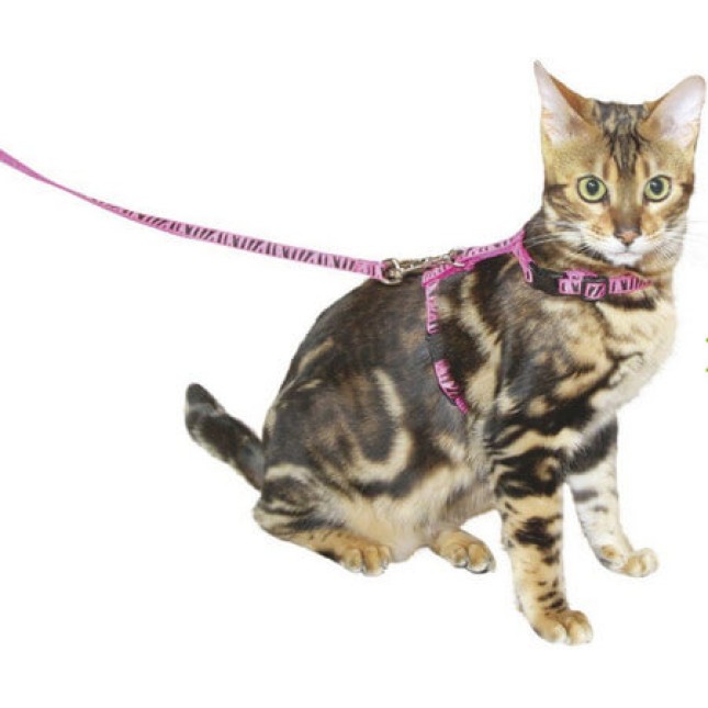 Kerbl cat harness σετ σαμάρι & οδηγός νάιλον κατασκευασμένο από νάιλον για όμορφες βόλτες