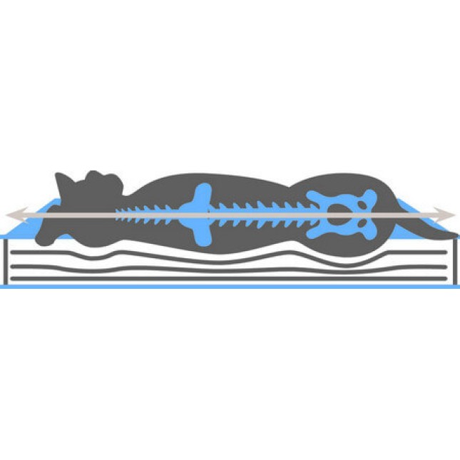 Kerbl Memory-Foam Mattress oval,στρώμα για σκύλους, από μαλακό βελούδο και αφρό μνήμης Kerbl Memory-Foam Mattress oval,στρώμα για σκύλους, από μαλακό βελούδο και αφρό μνήμης