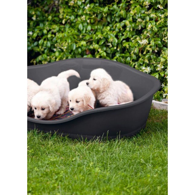 Kerbl Plastic Bed Sleepers, πλαστικό κρεβάτι για σκύλους ιδανικό για χρήση σε εξωτερικούς χώρους Kerbl Plastic Bed Sleepers, πλαστικό κρεβάτι για σκύλους ιδανικό για χρήση σε εξωτερικούς χώρους