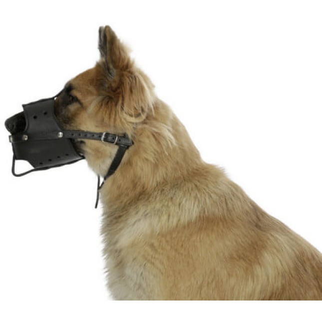 Kerbl Φίμωτρο σκύλου δερμάτινο, black, μαλακό και εύκολο στην τοποθέτηση