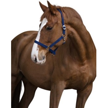 Covalliero Καπίστρι Νάιλον Classic size 1 Covalliero Καπίστρι Νάιλον Classic size 1