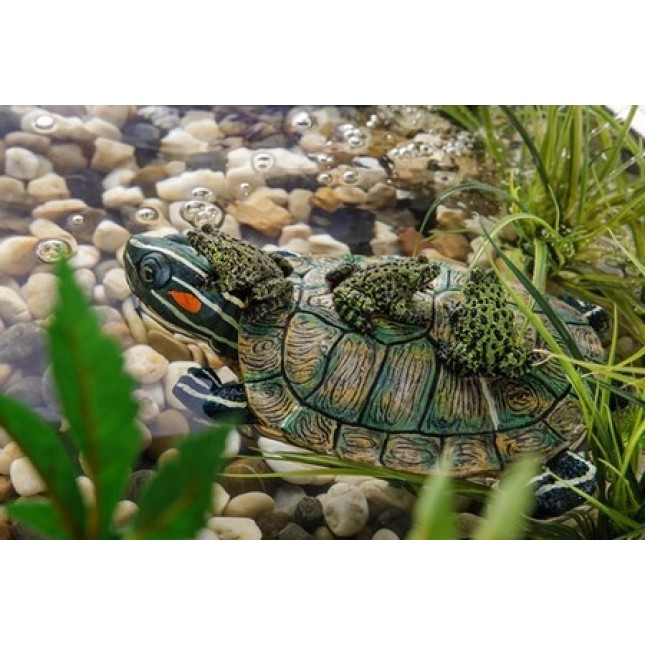 Exo terra turtle island χελώνα
