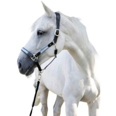 Covalliero καπίστρι Bellano Size 2 Covalliero καπίστρι Bellano Size 2