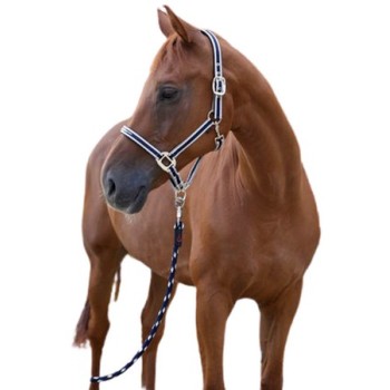 Covalliero καπίστρι Cora Size 1