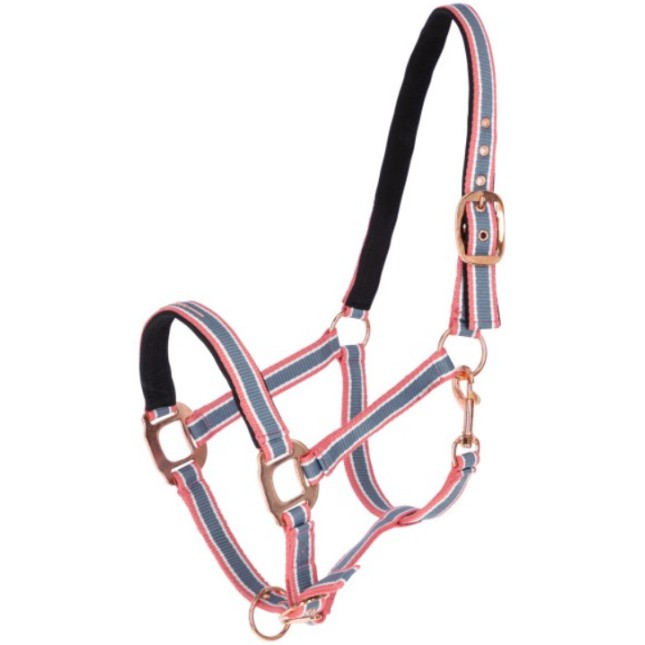 Covalliero καπίστρι Cora Size 1 Covalliero καπίστρι Cora Size 1
