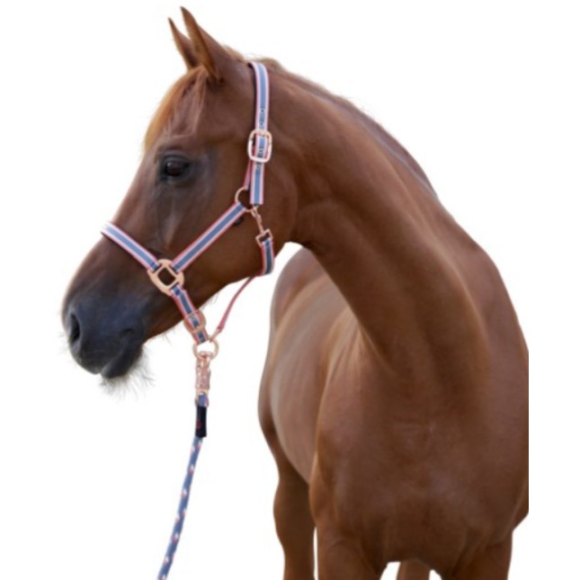Covalliero καπίστρι Cora Size 1 Covalliero καπίστρι Cora Size 1