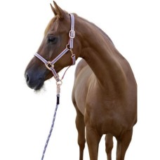 Covalliero καπίστρι Cora Size 3 Covalliero καπίστρι Cora Size 3