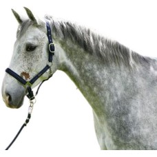 Covalliero καπίστρι Liam, Pony Covalliero καπίστρι Liam, Pony