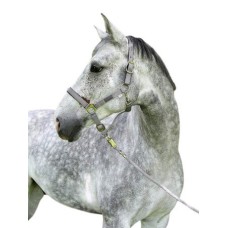 Covalliero καπίστρι Liam, Pony Covalliero καπίστρι Liam, Pony