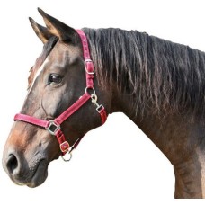 Covalliero καπίστρι Mustang size 2 Covalliero καπίστρι Mustang size 2