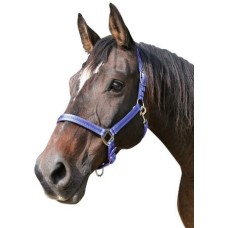Covalliero καπίστρι Mustang μπλε/μαύρο, κορυφαίας ποιότητας με λεπτό μοτίβο