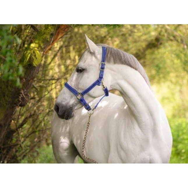 Covalliero καπίστρι Mustang μπλε/μαύρο, κορυφαίας ποιότητας με λεπτό μοτίβο Covalliero καπίστρι Mustang μπλε/μαύρο, κορυφαίας ποιότητας με λεπτό μοτίβο
