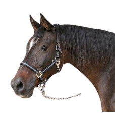 Covalliero καπίστρι Mustang μαύρο/ασημί, κορυφαίας ποιότητας με λεπτό μοτίβο