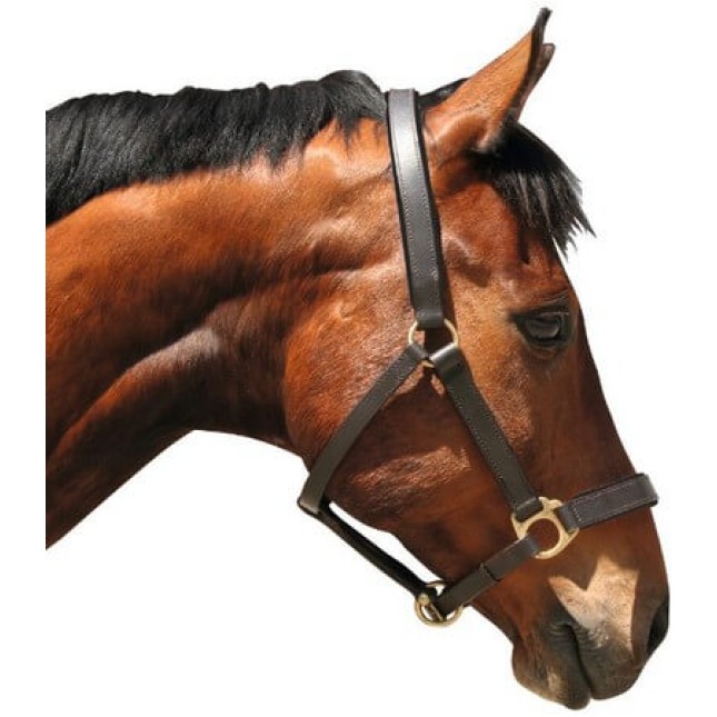 Covalliero καπίστρι Eco Pony Covalliero καπίστρι Eco Pony