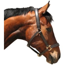 Covalliero καπίστρι Eco Cob Covalliero καπίστρι Eco Cob