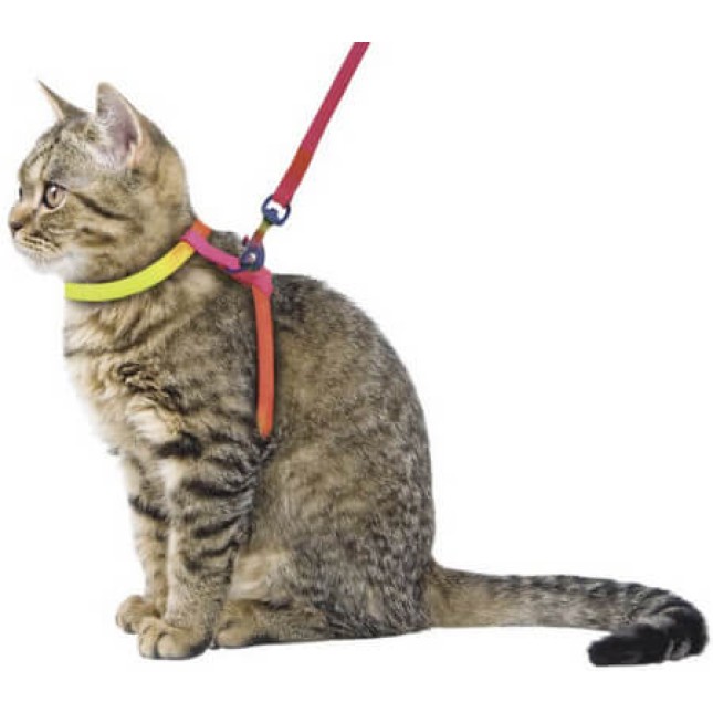 Kerbl Σαμαράκι & οδηγός RAINBOW για γάτες είναι ρυθμιζόμενα και εξοπλισμένο με εύκολη σύνδεση