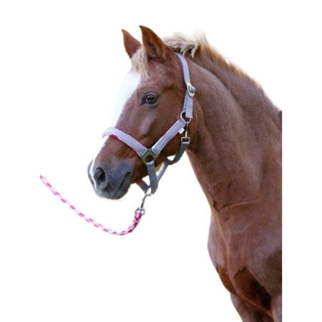 Covalliero καπίστρι για πόνυ Lilli με οδηγό, Size 0 Covalliero καπίστρι για πόνυ Lilli με οδηγό, Size 0