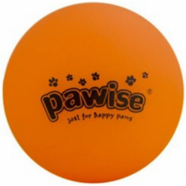 Pawise Vinyl Παιχνίδι Σκύλου φωσφορίζουσα μπάλα L Pawise Vinyl Παιχνίδι Σκύλου φωσφορίζουσα μπάλα L