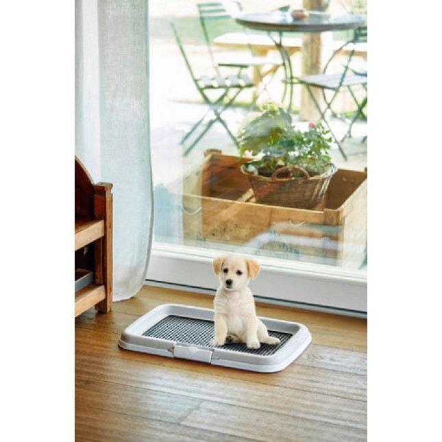 Kerbl τουαλέτας για κουτάβια PUPPY σετ προπόνησης, 60x40x4cm Kerbl τουαλέτας για κουτάβια PUPPY σετ προπόνησης, 60x40x4cm