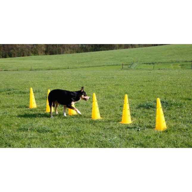 Kerbl παιχνίδια εκπαιδεύσεις σκύλων για ευκινησία με κώνους και τρία εμπόδια