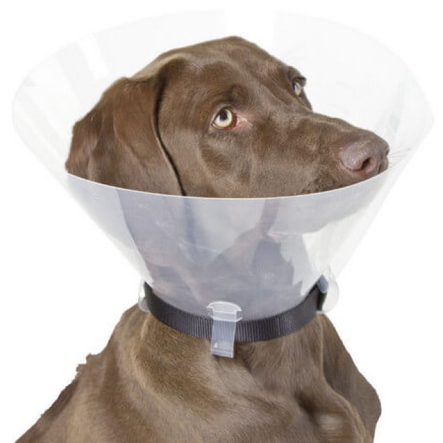 Kerbl Surgical Collar Χειρουργικό προστατευτικό κολάρο 20 cm Kerbl Surgical Collar Χειρουργικό προστατευτικό κολάρο 20 cm