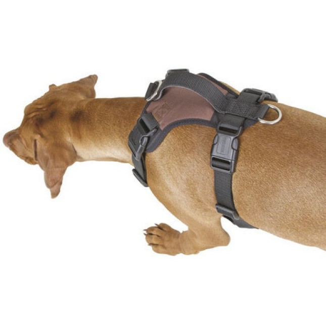 Kerbl Σαμαράκι σκύλου Pulsive καφέ ιδανικό για πεζοπορία και τζόκινγκ και για καθημερινές βόλτες