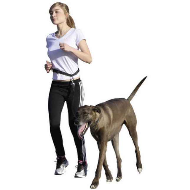 Kerbl Running leash Λουρί τρεξίματος και άσκησης σκύλου με ρυθμιζόμενη ζώνη μέσης