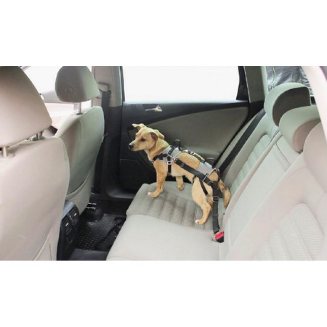 Kerbl Προστατευτικό σαμαράκι ασφαλείας αυτοκινήτου για αυξημένη ασφάλεια κατά την οδήγηση γκρι