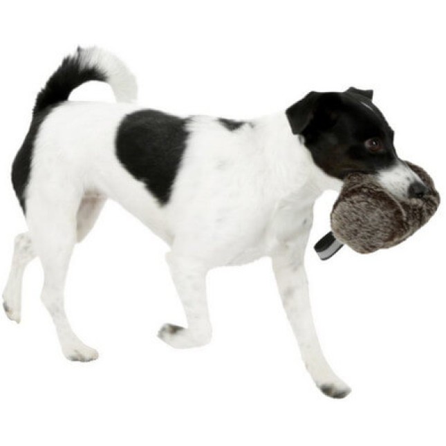 Kerbl παιχνίδι και εκπαίδευση με λιχουδιές για σκύλους με ομοίωμα 16 x 7 cm