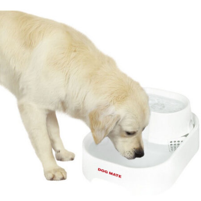 Dog Mate? Ποτίστρα για σκύλους Pet Source 6 lt Dog Mate? Ποτίστρα για σκύλους Pet Source 6 lt