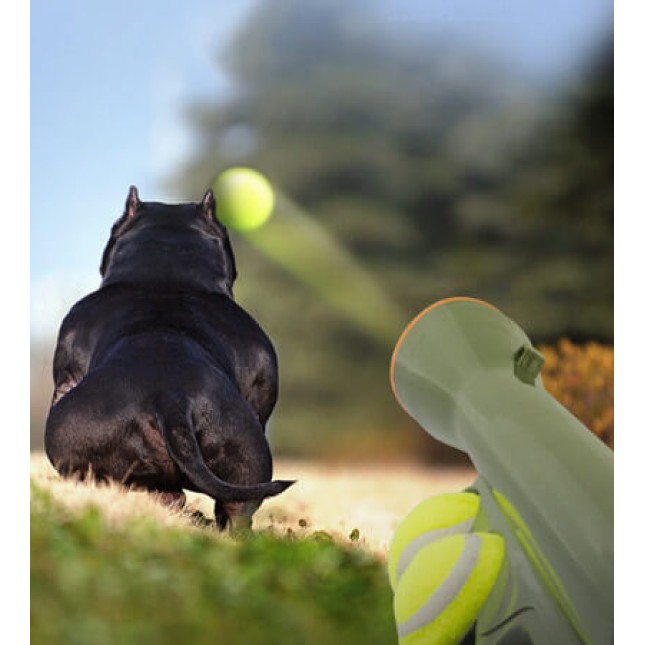 Pawise παιχνίδι σκύλου εκτοξευτής μπάλας για ατελείωτη διασκέδαση με το σκύλο σας