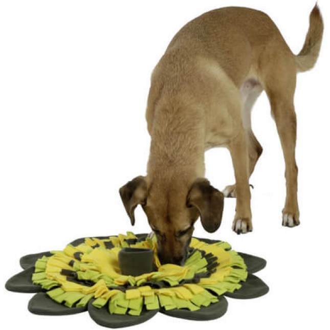Kerbl Παιχνίδι αναζήτησης τροφής πράσινο-κίτρινο,κατάλληλο για γάτες και σκύλους
