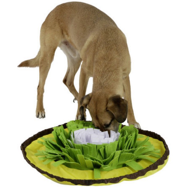 Kerbl Παιχνίδι αναζήτησης τροφής πράσινο-κίτρινο-λευκό,κατάλληλο για γάτες και σκύλους O 60cm