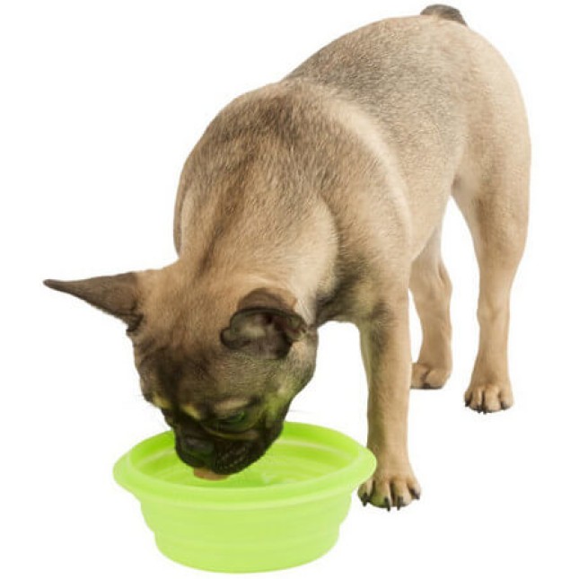Kerbl Μπολ πτυσσόμενο Σιλικόνης βολικό για νερό ή φαγητό για ταξίδια με σκύλο ή γάτα