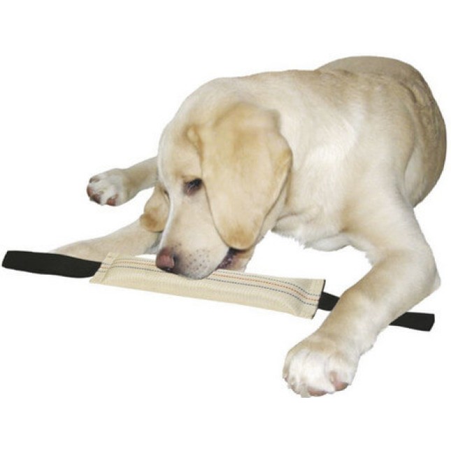 Kerbl εκπαιδευτικό παιχνίδι προπόνησης για σκύλους 31cm