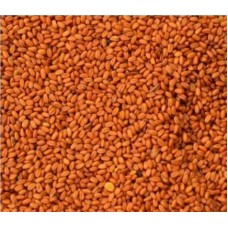 Σπόροι Καμελίνα-Gold of pleasure seed 1kg