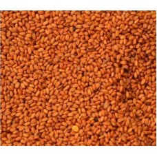 Σπόροι Καμελίνα-Gold of pleasure seed 1kg Σπόροι Καμελίνα-Gold of pleasure seed 1kg