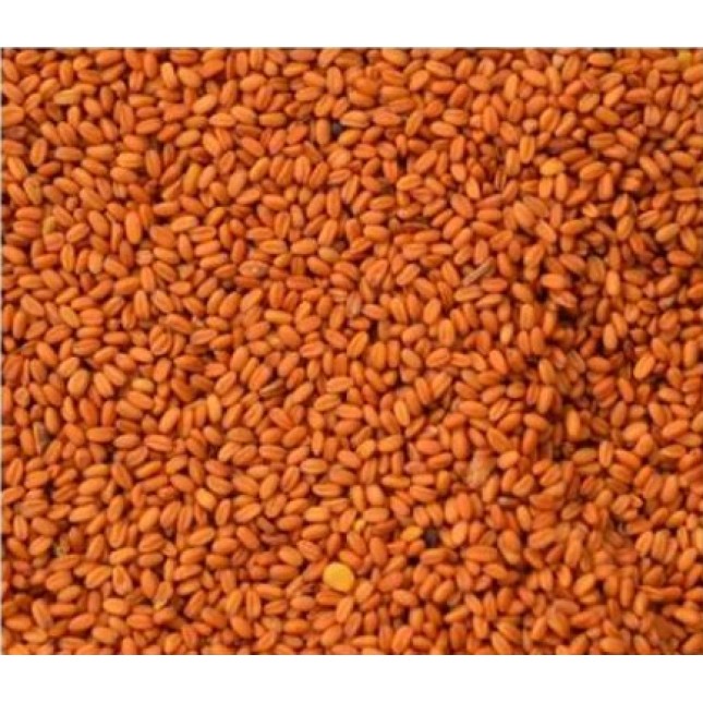 Σπόροι Καμελίνα-Gold of pleasure seed 1kg Σπόροι Καμελίνα-Gold of pleasure seed 1kg