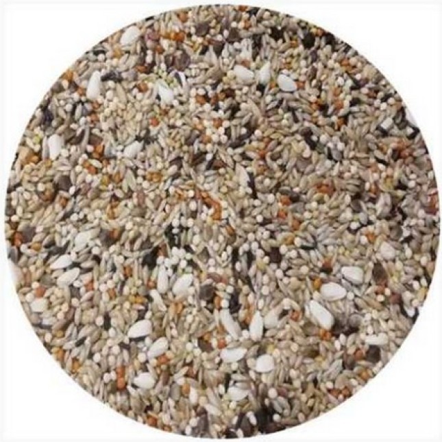 Professional mix elite parakeet για μεσαίους παπαγάλους 1kg Professional mix elite parakeet για μεσαίους παπαγάλους 1kg