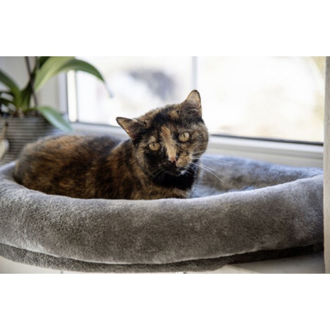 Kerbl Window κρεβάτι παραθύρου για γάτες είναι κατάλληλο για όλα τα περβάζια παραθύρων