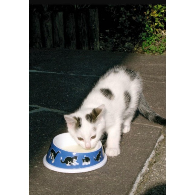 Kerbl Πολύ όμορφο πλαστικό μπολ γάτας για φαγητό ή νερό, κατάλληλο για εσωτερική και εξωτερική χρήση
