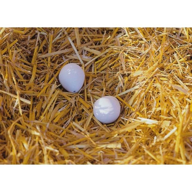 Κerbl πήλινα τεχνητά αυγά αναπαραγωγής για κότες για να δείξετε την περιοχή ωοτοκίας