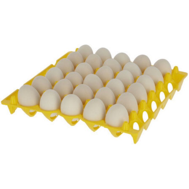 Kerbl Πλαστική αυγοθήκη, αποθήκευση αυγών από πλαστικό για 30 αυγά